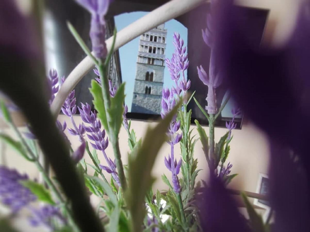 Borgo In Citta Apartment ปิสโตยา ภายนอก รูปภาพ